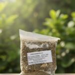 CHERU NIMBADI KC - Image 2